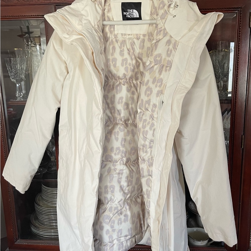 North Face Winter Jacket